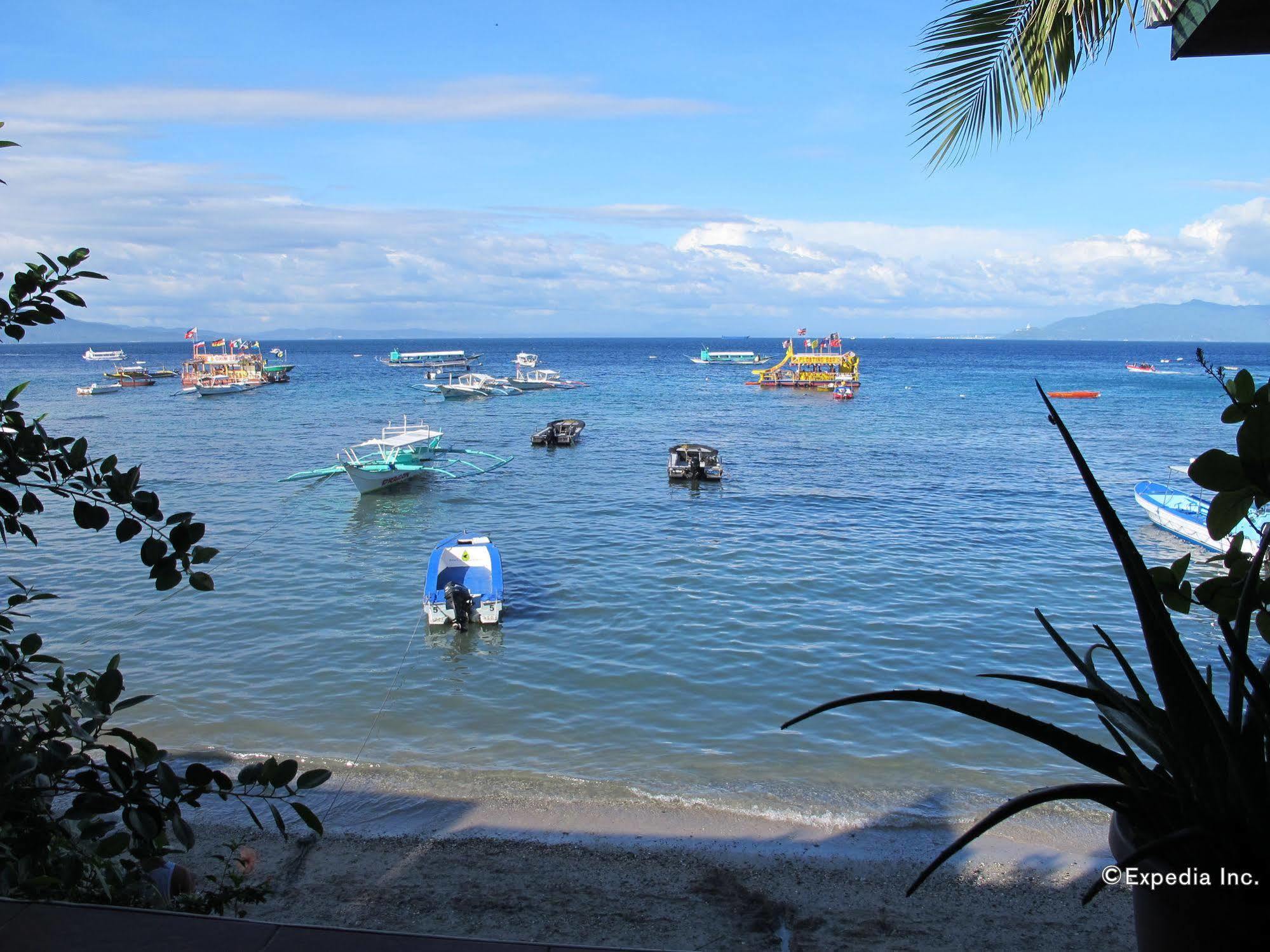 Captngreggs Dive Resort Puerto Galera Exteriör bild